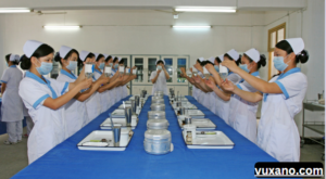 Nursing Schools in Norway For International Students