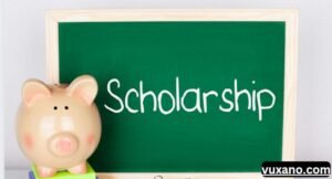 Best Scholarship Websites