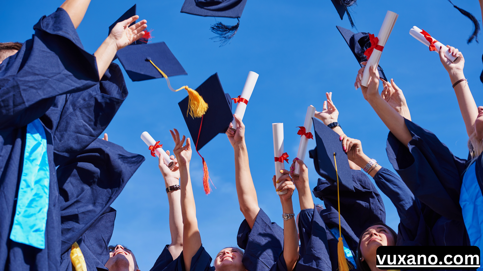 KFC Scholarship