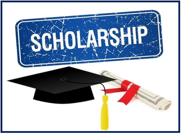 Clinic Plus Scholarship