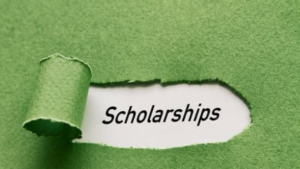 NIFESS Undergraduate Scholarship