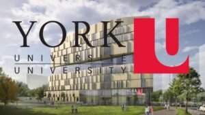York University International Student Scholarships