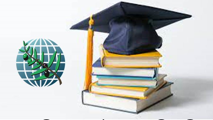 PhD Scholarships for International Students